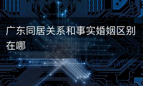 广东同居关系和事实婚姻区别在哪