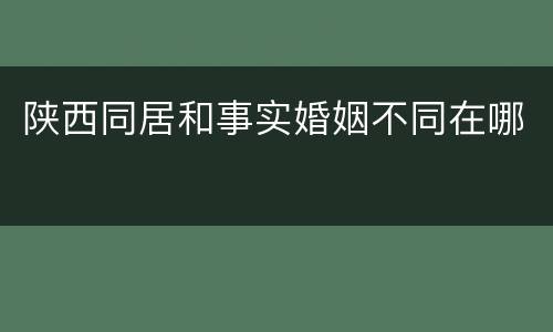 陕西同居和事实婚姻不同在哪