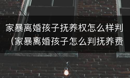 家暴离婚孩子抚养权怎么样判（家暴离婚孩子怎么判抚养费怎么判）
