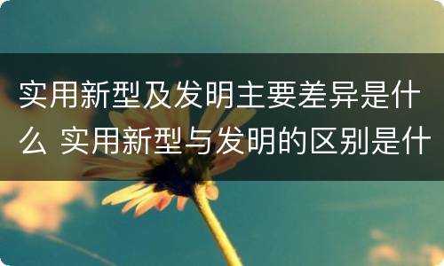 实用新型及发明主要差异是什么 实用新型与发明的区别是什么
