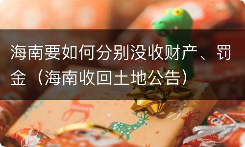 海南要如何分别没收财产、罚金（海南收回土地公告）