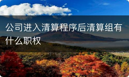 公司进入清算程序后清算组有什么职权
