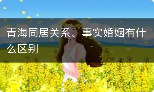 青海同居关系、事实婚姻有什么区别