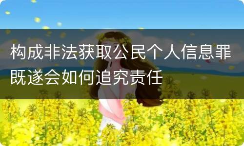 构成非法获取公民个人信息罪既遂会如何追究责任