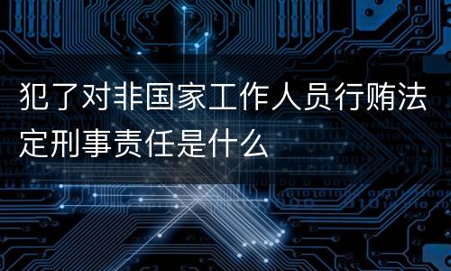 犯了对非国家工作人员行贿法定刑事责任是什么
