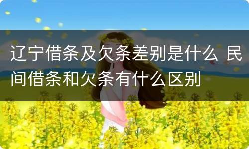 辽宁借条及欠条差别是什么 民间借条和欠条有什么区别