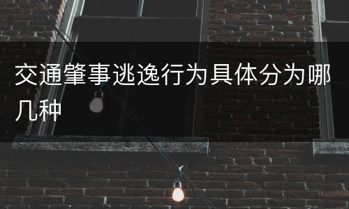 交通肇事逃逸行为具体分为哪几种