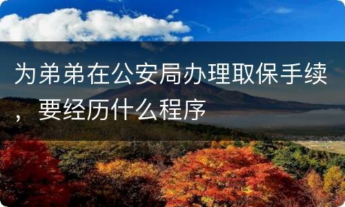 为弟弟在公安局办理取保手续，要经历什么程序