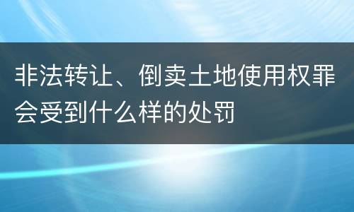 非法转让、倒卖土地使用权罪会受到什么样的处罚