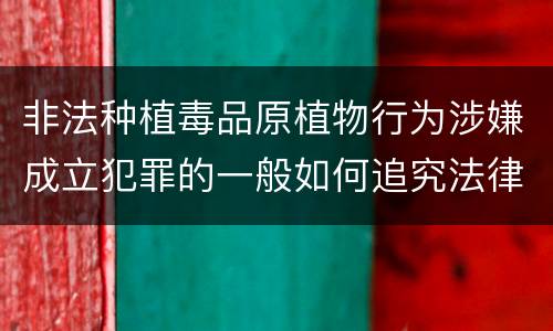 非法种植毒品原植物行为涉嫌成立犯罪的一般如何追究法律责任