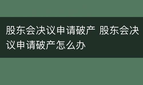 股东会决议申请破产 股东会决议申请破产怎么办