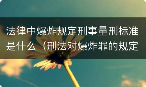 法律中爆炸规定刑事量刑标准是什么（刑法对爆炸罪的规定）