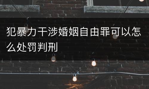 犯暴力干涉婚姻自由罪可以怎么处罚判刑