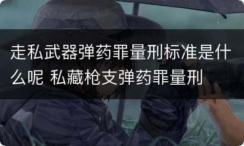 走私武器弹药罪量刑标准是什么呢 私藏枪支弹药罪量刑