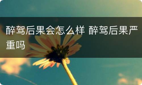 醉驾后果会怎么样 醉驾后果严重吗