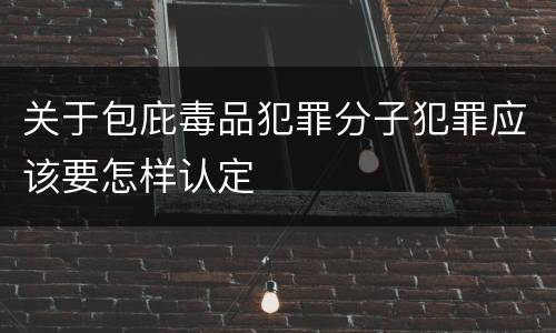 关于包庇毒品犯罪分子犯罪应该要怎样认定
