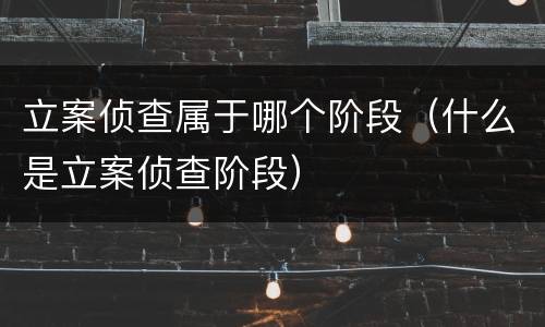 立案侦查属于哪个阶段（什么是立案侦查阶段）