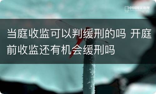 当庭收监可以判缓刑的吗 开庭前收监还有机会缓刑吗