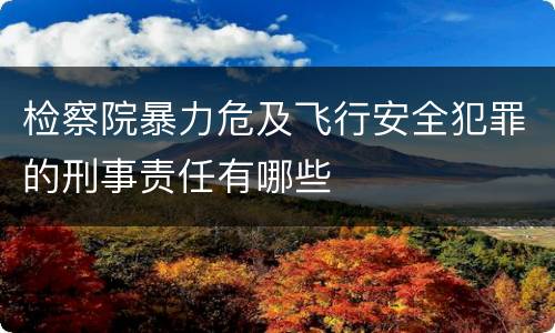 检察院暴力危及飞行安全犯罪的刑事责任有哪些