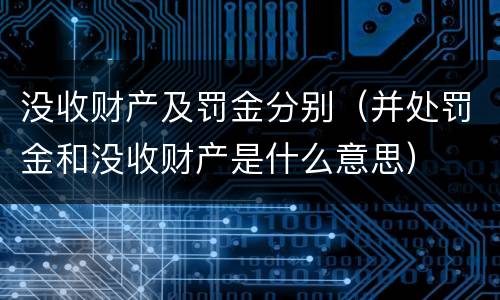 没收财产及罚金分别（并处罚金和没收财产是什么意思）