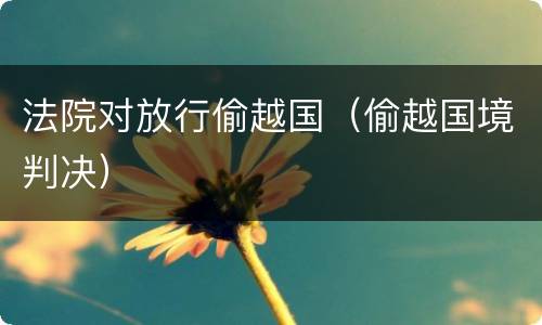 法院对放行偷越国（偷越国境判决）