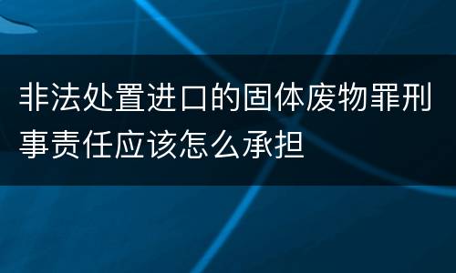非法处置进口的固体废物罪刑事责任应该怎么承担