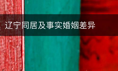 辽宁同居及事实婚姻差异