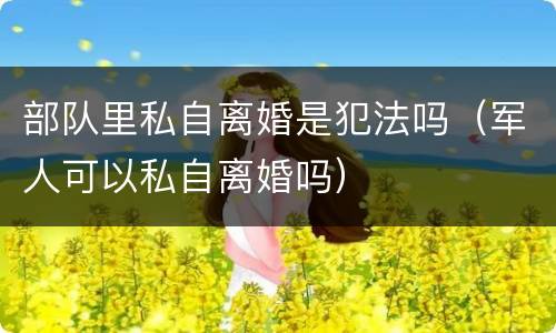 部队里私自离婚是犯法吗（军人可以私自离婚吗）