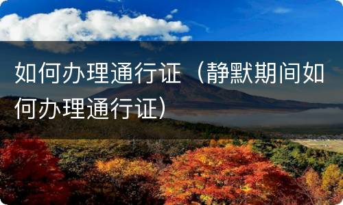 如何办理通行证（静默期间如何办理通行证）