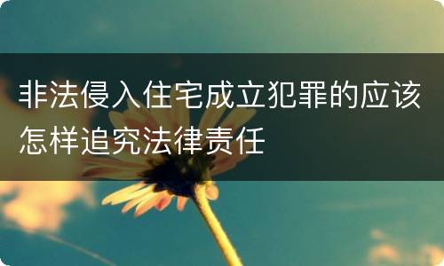 非法侵入住宅成立犯罪的应该怎样追究法律责任