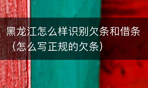 黑龙江怎么样识别欠条和借条（怎么写正规的欠条）