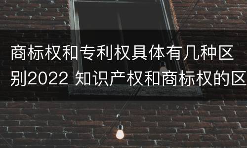 商标权和专利权具体有几种区别2022 知识产权和商标权的区别