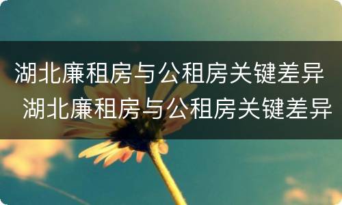 湖北廉租房与公租房关键差异 湖北廉租房与公租房关键差异是什么