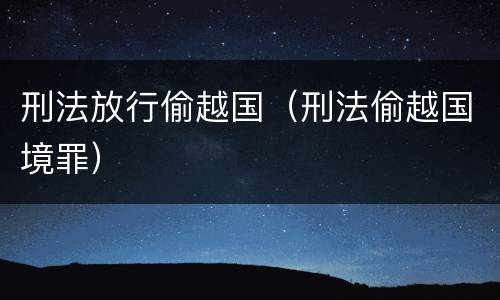 刑法放行偷越国（刑法偷越国境罪）