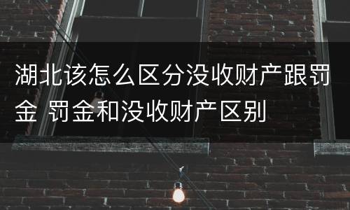 湖北该怎么区分没收财产跟罚金 罚金和没收财产区别
