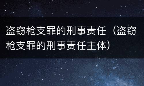 盗窃枪支罪的刑事责任（盗窃枪支罪的刑事责任主体）