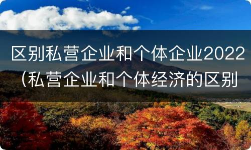 区别私营企业和个体企业2022（私营企业和个体经济的区别）