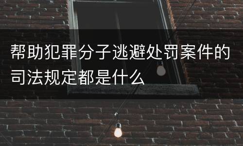 帮助犯罪分子逃避处罚案件的司法规定都是什么