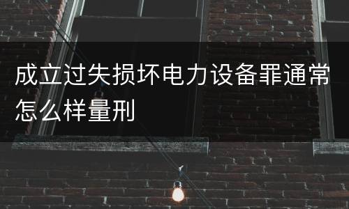 成立过失损坏电力设备罪通常怎么样量刑