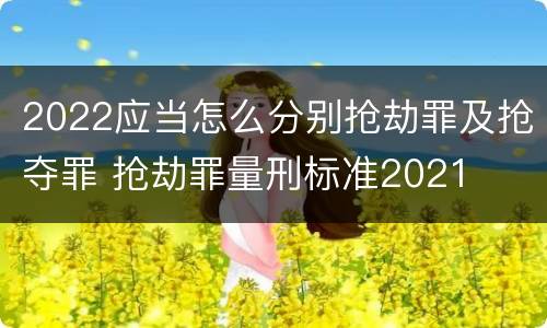 2022应当怎么分别抢劫罪及抢夺罪 抢劫罪量刑标准2021