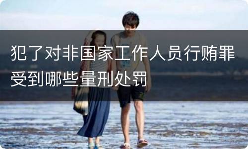 犯了对非国家工作人员行贿罪受到哪些量刑处罚