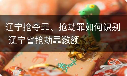 辽宁抢夺罪、抢劫罪如何识别 辽宁省抢劫罪数额