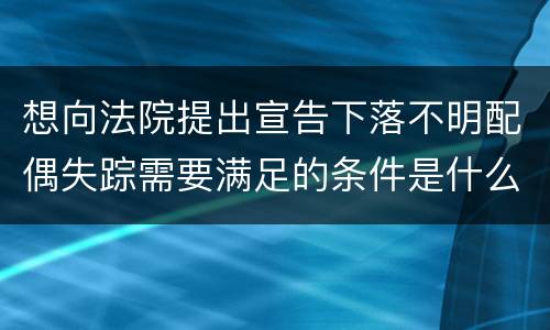 想向法院提出宣告下落不明配偶失踪需要满足的条件是什么