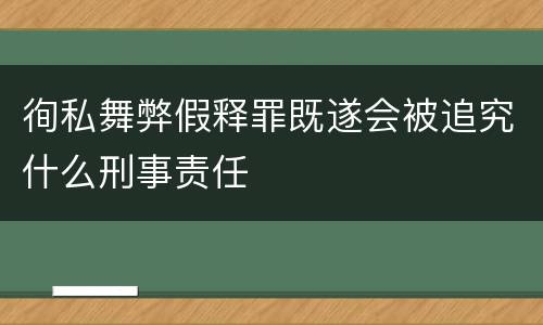 徇私舞弊假释罪既遂会被追究什么刑事责任