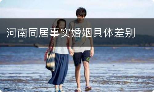 河南同居事实婚姻具体差别