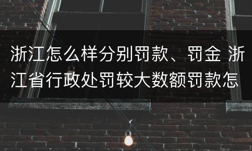 浙江怎么样分别罚款、罚金 浙江省行政处罚较大数额罚款怎么界定