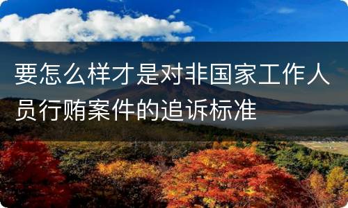 要怎么样才是对非国家工作人员行贿案件的追诉标准