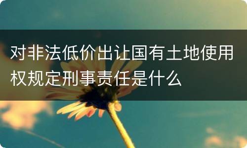 对非法低价出让国有土地使用权规定刑事责任是什么