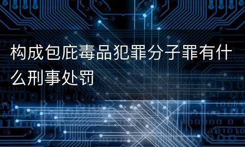 构成包庇毒品犯罪分子罪有什么刑事处罚