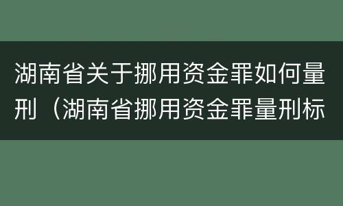 湖南省关于挪用资金罪如何量刑（湖南省挪用资金罪量刑标准2018）